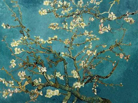 20060427074201-van-gogh-almond.jpg