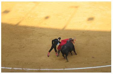 20060830093148-toros.jpg