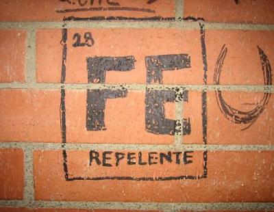 20070117185442-ferreirorepelente.jpg
