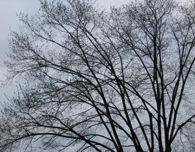 20070327192944-img-9896.jpg