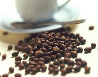 20071009182022-cafe.jpg
