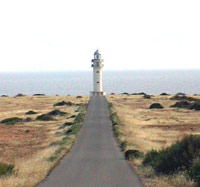 20071011115703-faro.jpg