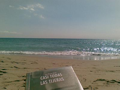 20080321141654-enlaplaya.jpg