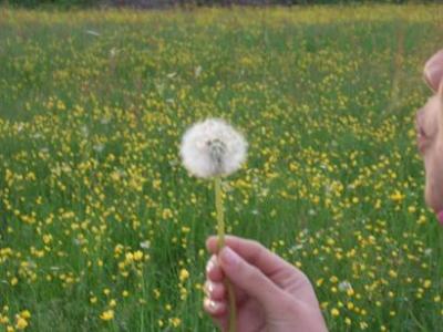 20080702183200-pideundeseo.jpg