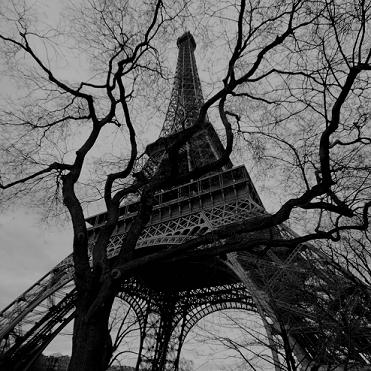 20090125132939-paris-tour-eiffel-arbree.jpg