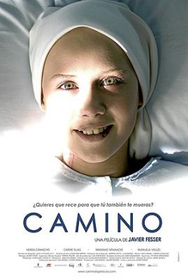 20090304202158-camino.jpg