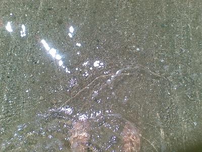 20090527184302-aqui.jpg