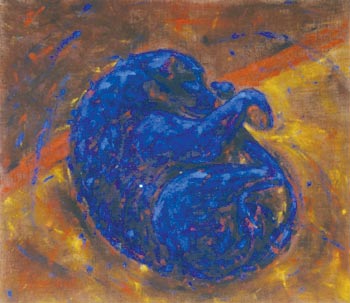 20090612104404-sueno-perro-azul.jpg